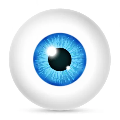 Image of Vision